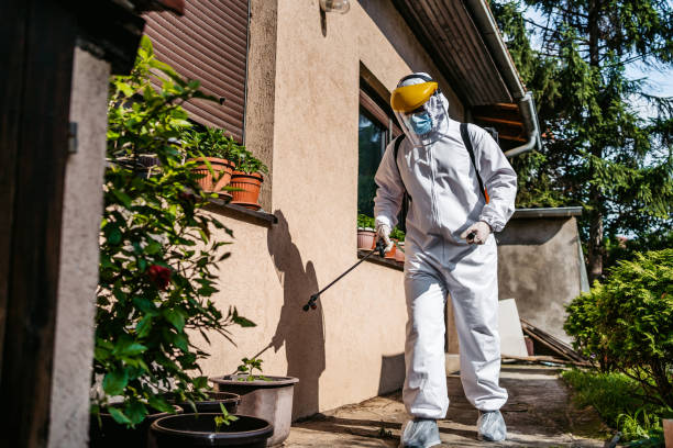 Best Pest Control Near Me  in Benicia, CA