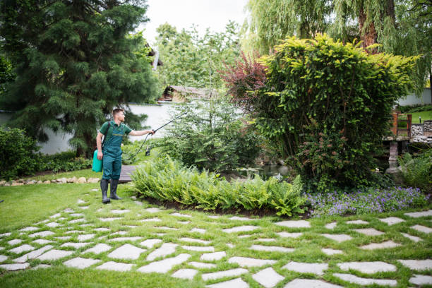 Best Emergency Pest Control  in Benicia, CA