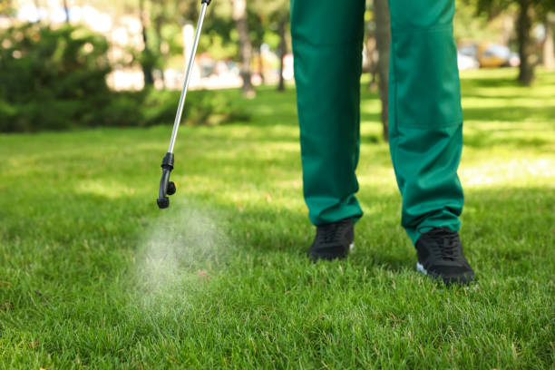 Best Pest Removal Services  in Benicia, CA