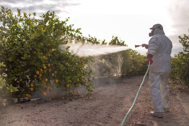 Best Best Pest Control Companies  in Benicia, CA
