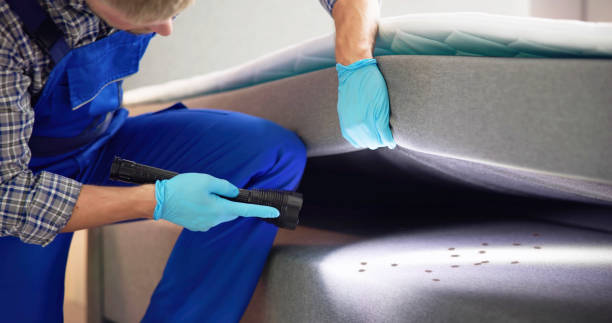Best Pest Removal Services  in Benicia, CA